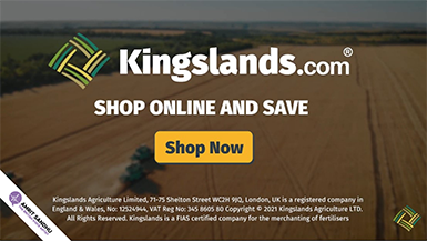 Kingsland.com